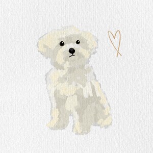 May include: A digital illustration of a fluffy, white dog with black eyes and nose, sitting upright. A simple gold heart is drawn next to the dog on a white background. The artwork has a soft, textured appearance.