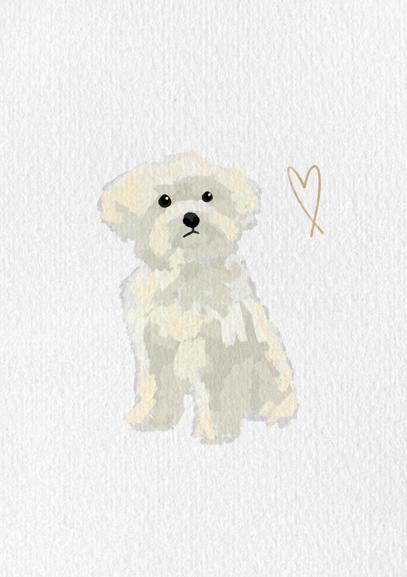 May include: A digital illustration of a fluffy, white dog with black eyes and nose, sitting upright. A simple gold heart is drawn next to the dog on a white background. The artwork has a soft, textured appearance.