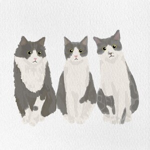 May include: Watercolor illustration of three cats with gray and white fur. Each cat is sitting upright with a serious expression. The cats have yellow eyes and pink noses, set against a white background.