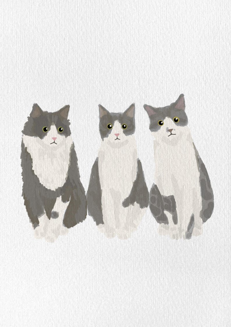 May include: Watercolor illustration of three cats with gray and white fur. Each cat is sitting upright with a serious expression. The cats have yellow eyes and pink noses, set against a white background.