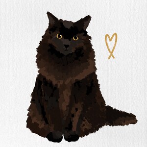 May include: Illustration of a fluffy black cat with yellow eyes, sitting upright. A gold heart shape is to the right of the cat on a white background. The cat's fur is a mix of dark brown and black.