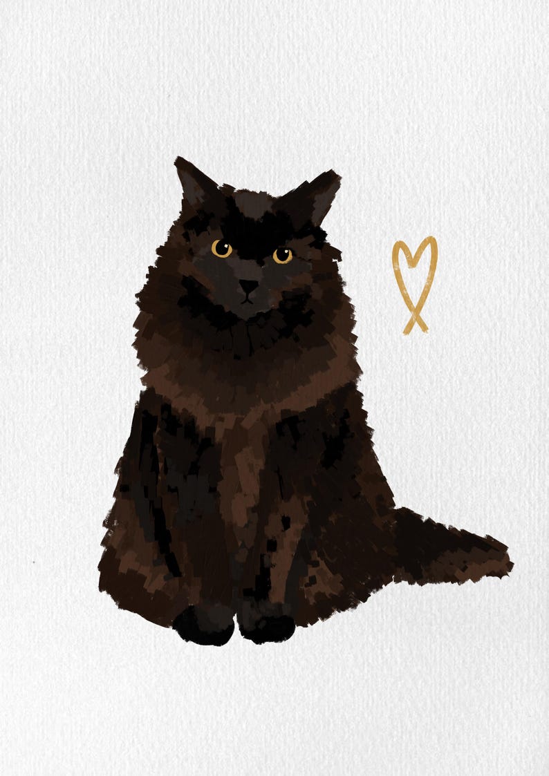 May include: Illustration of a fluffy black cat with yellow eyes, sitting upright. A gold heart shape is to the right of the cat on a white background. The cat's fur is a mix of dark brown and black.