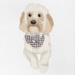 May include: Watercolor illustration of a cream-colored dog with brown ears and nose. The dog wears a checkered bow tie in shades of brown, gray, and white. The artwork has a soft, painterly style, set against a white background.