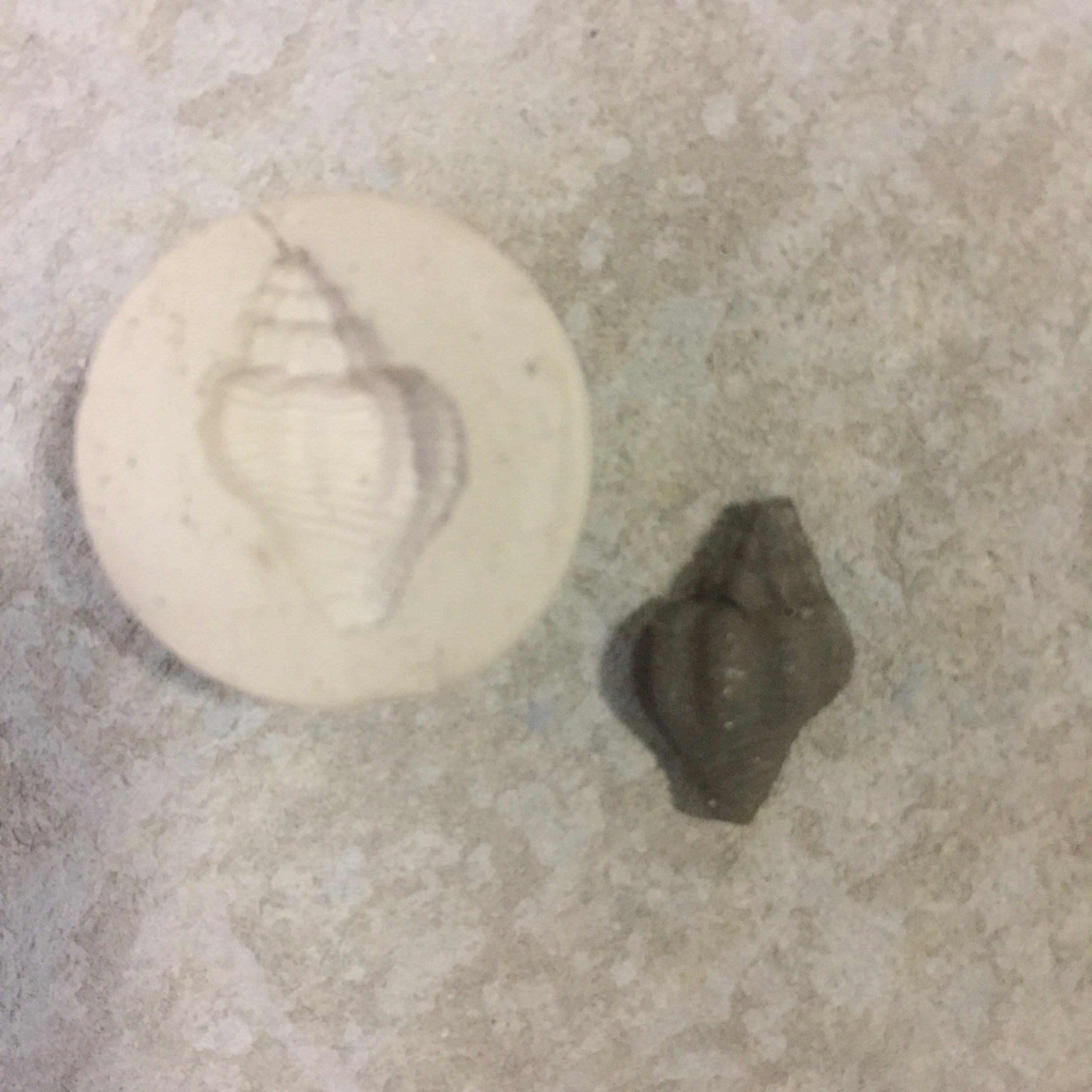 Ceramic Clay Molds Best Image Home