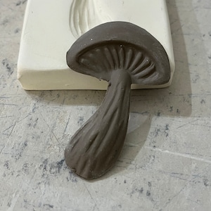 May include: A dark brown mushroom-shaped mold for making polymer clay or resin crafts. The mold has a detailed texture on the cap and stem.