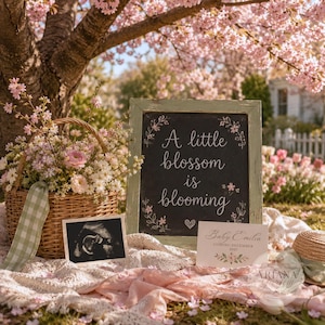 May include: A chalkboard sign with the text A little blossom is blooming, a wicker basket filled with pink and white flowers, a black and white ultrasound image, and a card reading Baby Emilia coming December 2027 on a light pink fabric.
