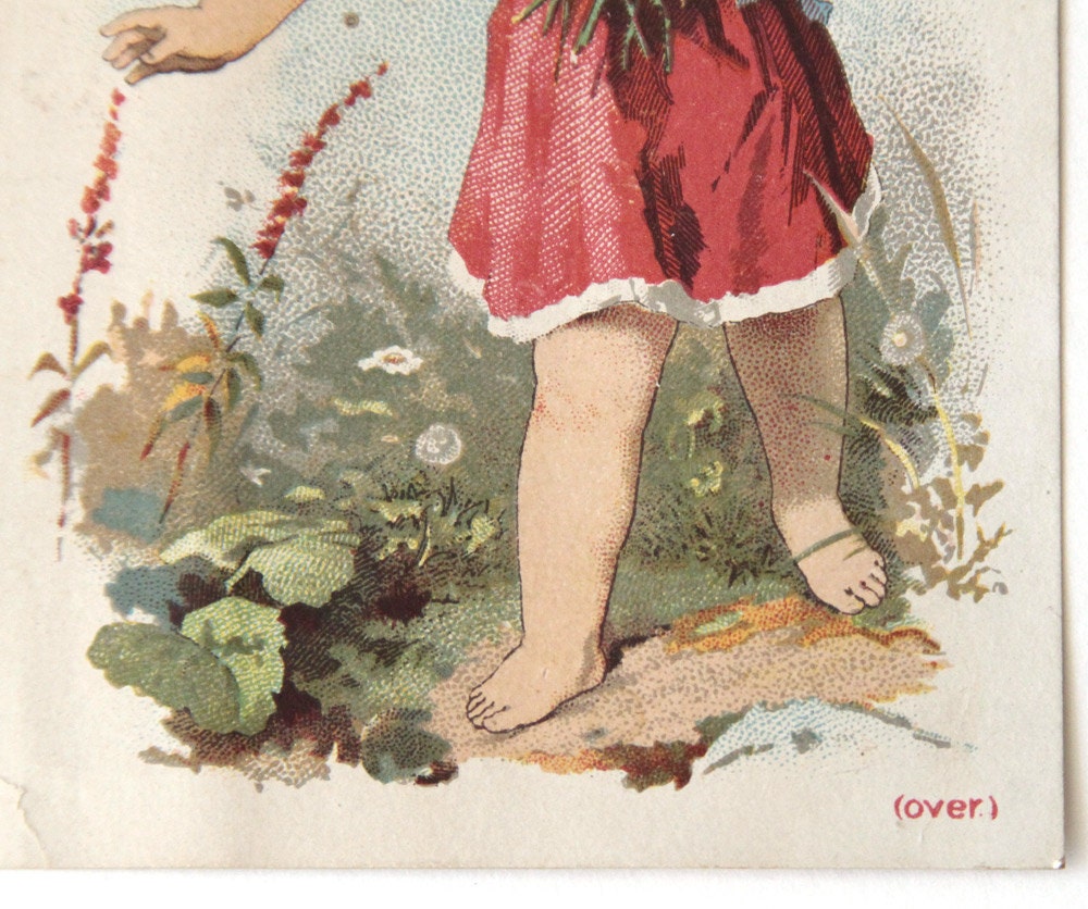 Pyles Pearline James Pyle's Pearline Washing Compound Card - Etsy