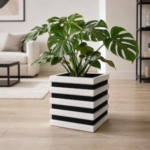 May include: A vibrant green Monstera plant with large, split leaves potted in a square planter. The planter features a stacked, layered design with alternating horizontal bands of solid white and black, creating a distinct striped appearance.