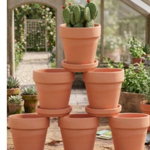 May include: A stack of six terracotta-colored flower pots, some with saucers, are arranged in a pyramid shape. One pot at the top holds a green cactus with small red buds. The background shows a garden setting.