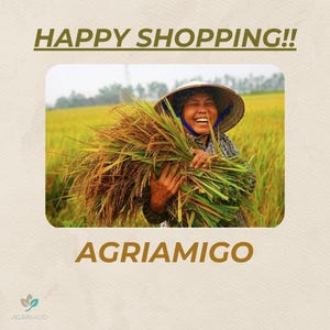 Peut inclure: Image avec le texte "HAPPY SHOPPING!!" et "AGRIAMIGO". L'image montre une personne portant un chapeau conique, tenant une grande botte de riz r&eacute;colt&eacute; dans un champ. La personne sourit. L'arri&egrave;re-plan est un champ de riz dor&eacute;.
