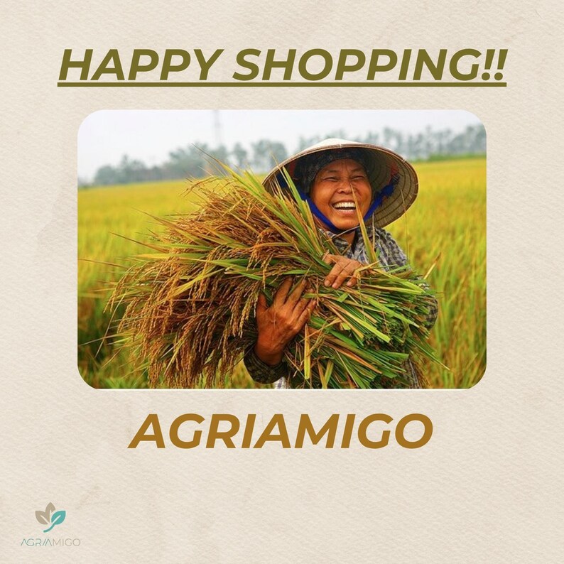 Peut inclure: Image avec le texte "HAPPY SHOPPING!!" et "AGRIAMIGO". L'image montre une personne portant un chapeau conique, tenant une grande botte de riz r&eacute;colt&eacute; dans un champ. La personne sourit. L'arri&egrave;re-plan est un champ de riz dor&eacute;.