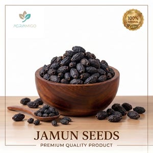 Puede incluir: Un cuenco de madera de color marrón oscuro lleno de semillas de jamun secas y oscuras, acompañado de una cuchara de madera a juego con una pequeña porción de semillas. El texto dice AGRIAMIGO, 100% NATURAL, JAMUN SEEDS y PREMIUM QUALITY PRODUCT.