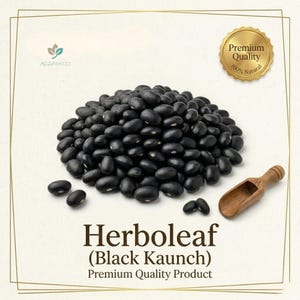Puede incluir: Un montón de frijoles negros con una cuchara de madera y un sello dorado que dice "Premium Quality 100% Natural". También se ve el texto "Herboleaf (Black Kaunch) Premium Quality Product".