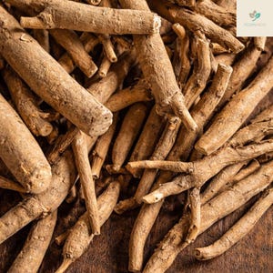 May include: Close-up of a pile of ashwagandha roots. The roots are a light brown color and have a rough, textured appearance. The image is well-lit, and the roots are in sharp focus. The background is a dark brown color.
