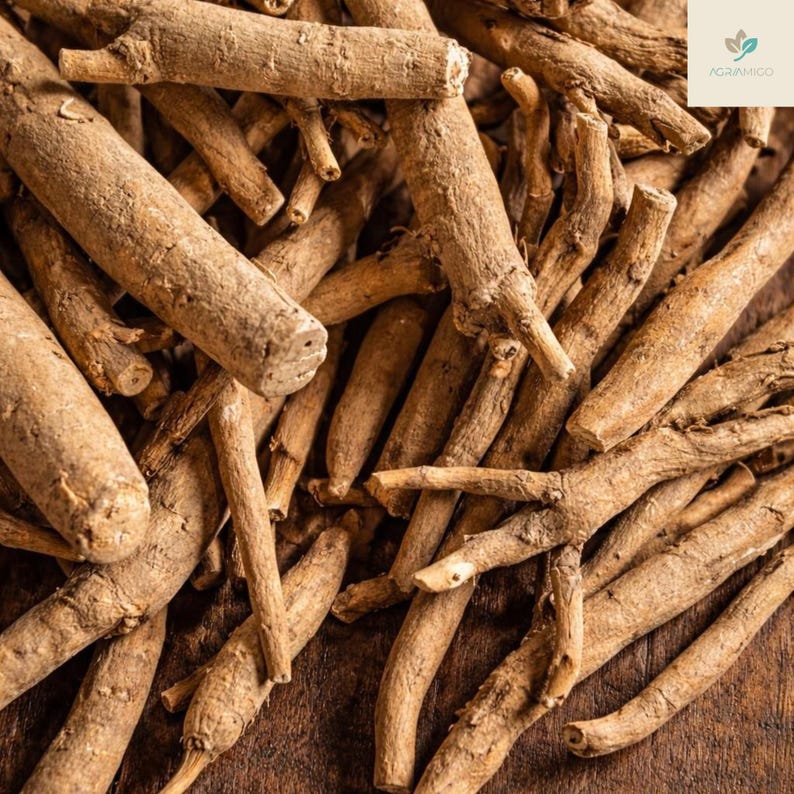 May include: Close-up of a pile of ashwagandha roots. The roots are a light brown color and have a rough, textured appearance. The image is well-lit, and the roots are in sharp focus. The background is a dark brown color.