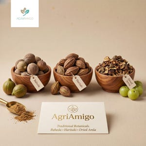 Könnte beinhalten: Drei Holzschalen mit Baheda, Haritaki und getrockneter Amla, jeweils mit einem Etikett. Ein goldener Löffel enthält braunes Pulver, und eine Karte zeigt das AgriAmigo-Logo mit dem Text: Traditional Botanicals. Baheda, Haritaki, Dried Amla.
