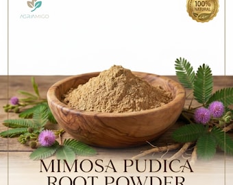 Poudre de racine de mimosa pudica | Lajwanti, Poudre à base de plantes Touch Me Not (100 % naturelle)