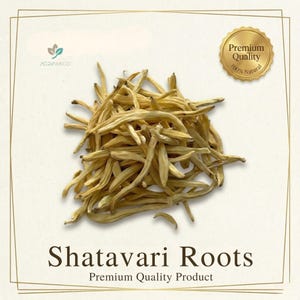 Puede incluir: Un mont&oacute;n de ra&iacute;ces de Shatavari secas, un producto de primera calidad, se muestra sobre un fondo crema. Las ra&iacute;ces son de color marr&oacute;n claro y beige, con un aspecto natural y org&aacute;nico. La imagen incluye el texto "Shatavari Roots" y un logotipo.