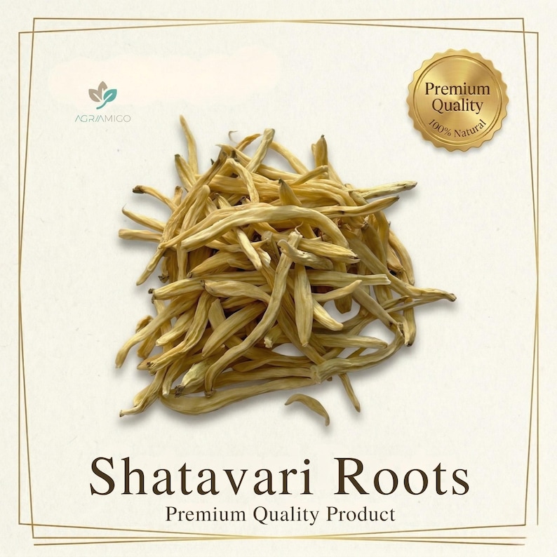 Puede incluir: Un mont&oacute;n de ra&iacute;ces de Shatavari secas, un producto de primera calidad, se muestra sobre un fondo crema. Las ra&iacute;ces son de color marr&oacute;n claro y beige, con un aspecto natural y org&aacute;nico. La imagen incluye el texto "Shatavari Roots" y un logotipo.