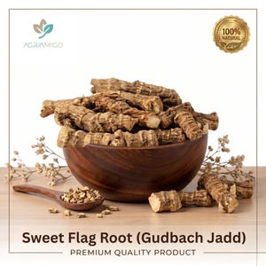 Peut inclure: Un bol en bois foncé rempli de racines de roseau odorant brun clair et texturées, accompagné d'une cuillère en bois contenant des petits morceaux de racine. Le texte indique AgriAmigo, 100% Natural, Sweet Flag Root (Gudbach Jadd) et Premium Quality Product.