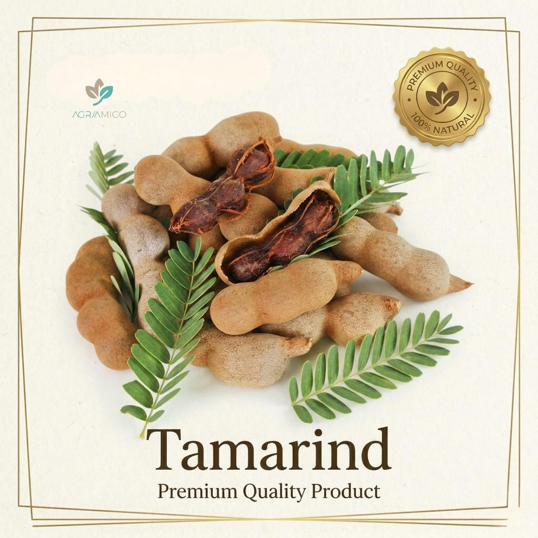 Natural Tamarind (imli) – Dried Tamarind Fruit Pulp – Tangy Ingredient ...