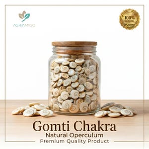 Puede incluir: Un tarro de cristal transparente lleno de Gomti Chakra, opérculo natural, con tapa de madera. El tarro está sobre una superficie marrón claro, con algunos Gomti Chakra esparcidos. El texto "Gomti Chakra" y "100% Natural" son visibles.