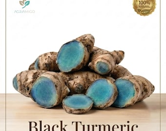 Raíz de cúrcuma negra (Kali Haldi) para rituales de puja - Natural India