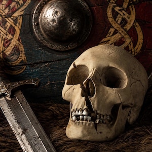 Puede incluir: Un cráneo humano con una fractura visible en la mandíbula y la cuenca del ojo, colocado junto a una espada de metal con empuñadura ornamentada y un escudo de madera circular con intrincados patrones de nudos amarillos sobre fondo azul y rojo.