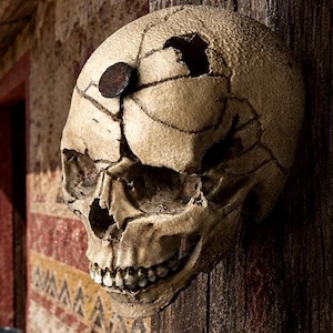 May include: A beige, textured human skull replica featuring a prominent dark, circular metal nail embedded in the forehead. The cranium displays multiple deep cracks and a large, jagged hole near the top, with visible teeth and eye sockets.