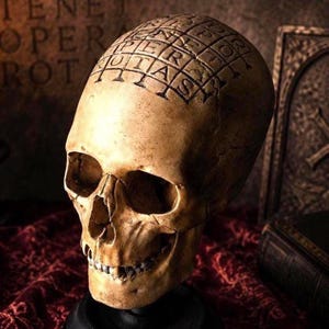 May include: A beige human skull replica featuring a carved Sator Square grid on the cranium. The grid contains the Latin words SATOR, AREPO, TENET, OPERA, and ROTAS arranged in a square. The skull has realistic bone texture and deep eye sockets.