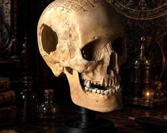 Réplica de cráneo humano SATOR, decoración gótica de cráneo, Memento Mori, artefacto medieval, Dark Academia, reliquia oculta