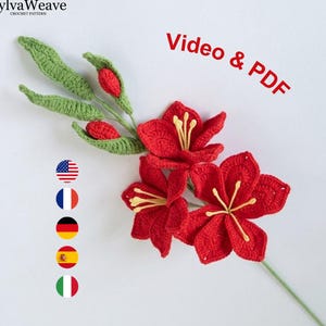 May include: A crochet pattern by SylvaWeave featuring a red flower arrangement with green leaves and buds. The text Video & PDF is displayed in red. Five circular flag icons representing the United States, France, Germany, Spain, and Italy are aligned vertically on the left side of the image.
