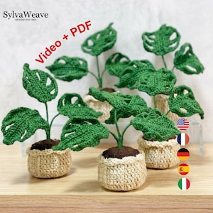 Monstera Leaf Crochet Pattern PDF & Video Tutorial, Beginner Plant Pot, House Warming, Table decoration, Gift for her