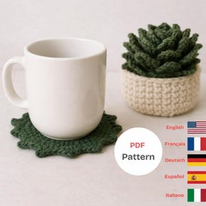Crochet Cactus Coaster Pattern (PDF + Video Tutorial) | Beginner Level | 5 languages