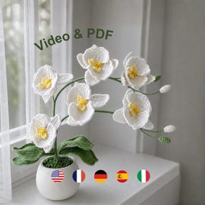 Może przedstawiać: Szydełkowana biała orchidea z żółtymi środkami i zielonymi liśćmi, umieszczona w małej białej ceramicznej doniczce. Nad kwiatem widoczny jest napis Video & PDF oraz małe okrągłe ikony przedstawiające różne flagi państwowe.