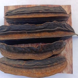 Peut inclure: Quatre gousses de graines allongées, brun foncé, à texture nervurée, disposées sur une surface en bois. Les gousses sont brun foncé avec des bords brun clair, sur un fond clair.