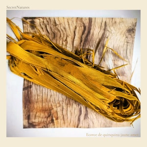 Peut inclure: Gros plan sur des éléments végétaux séchés jaune-or, possiblement de l'écorce ou des feuilles, disposés sur une surface en bois claire et texturée. L'image a une esthétique naturelle et organique, avec le texte "SecretNatures" en haut et "Ecorce de quinquina jaune amer" en bas.