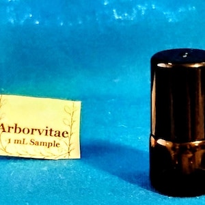 Arborvitae - 1 mL Essential Oil Sample - Woodsy Grounding Fresh Aroma