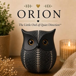 May include: A black owl figurine featuring a white dotted pattern across its body and large, dark eyes with gold rims. Above the owl, the text reads ORION and The Little Owl of Quiet Direction, accented by small gold heart and leaf icons.