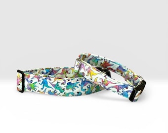 Rainbow Dinosaur Pet Collar