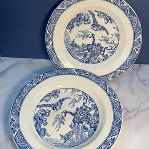 May include: Two white and blue ceramic plates. The plates feature a central blue floral and bird design, surrounded by a white border and a patterned blue rim. The plates have a vintage aesthetic.