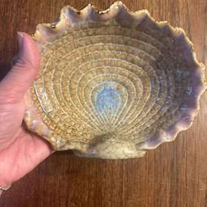 May include: A ceramic bowl shaped like a seashell with a scalloped edge. The interior features a textured, grid-like pattern in shades of tan and brown, with a central patch of blue glaze. The outer rim is finished with a soft, light purple glaze.