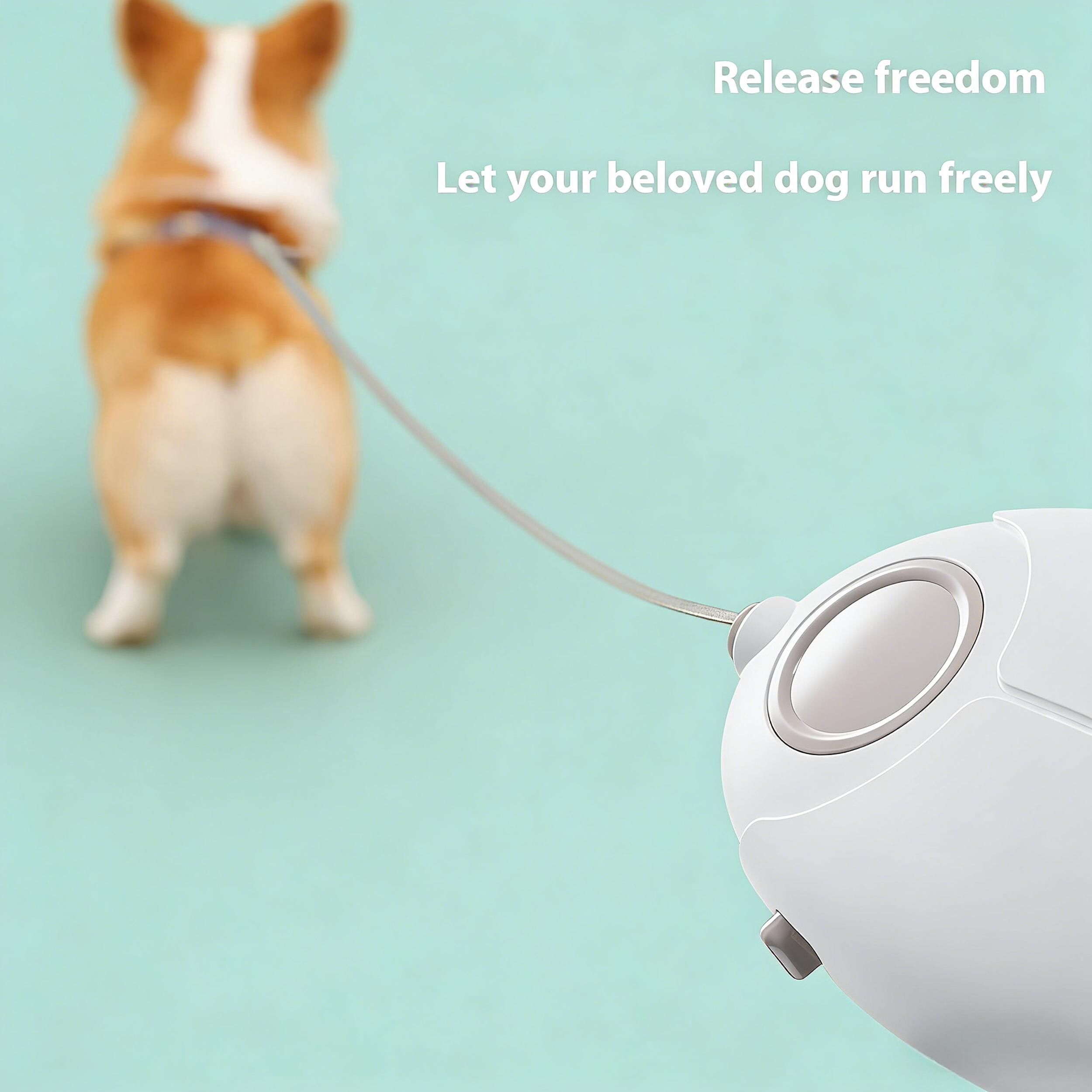 Retractable Dog Leash With Soft Grip Handle – Pastel Pink Design - Etsy