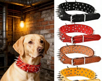 Collar para perro a la moda: tono dorado con tachuelas y remaches cromados.