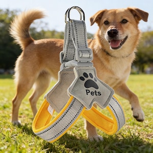 May include: A gray and yellow dog harness with a reflective stripe. The harness has a paw print design with the word "Pets" printed on it. A happy brown dog is in the background.