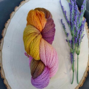 Hand Dyed Peruvian Highland Wool Yarn: Sherbet Sock Weight, 440 Yards