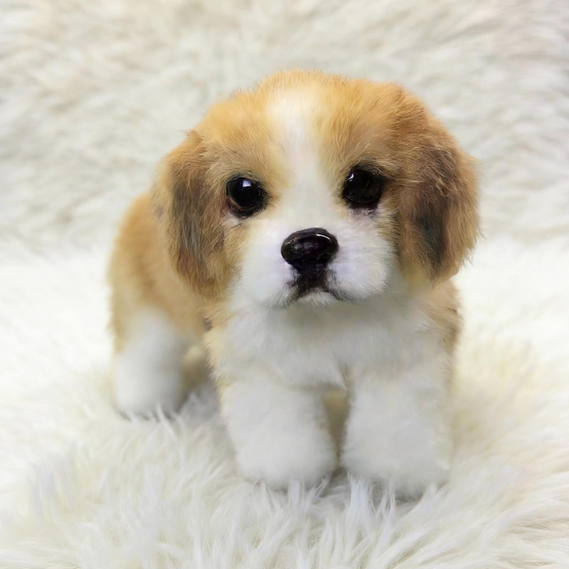Realistic Plush Stuffed Dogs - Etsy
