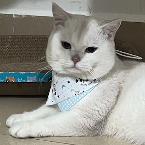 May include: A white cat wearing a blue and white patterned bandana. The bandana has a light blue border and features a design of stars, moons, and the text "my puppy". The cat is lying down on a tiled surface.