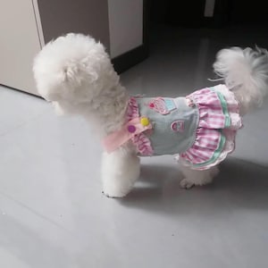 May include: A small, fluffy white dog wearing a pink and blue dress. The dress features a denim-like bodice with cupcake and heart patches, a pink and white gingham skirt, and a pink ribbon collar.