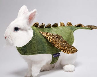 Dinosaur Bunny Costume for Small Pets: Halloween Rabbit Outfit, Kitten Puppy Apparel (2lb-4lb)